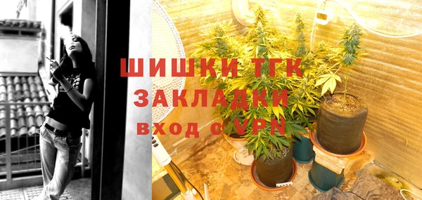 ГАЛЛЮЦИНОГЕННЫЕ ГРИБЫ Липки