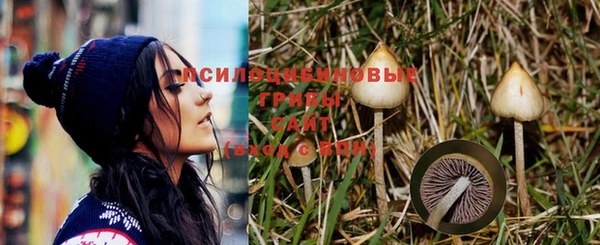 спайс Лихославль