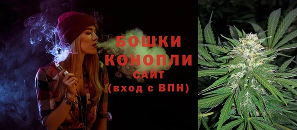 ГАЛЛЮЦИНОГЕННЫЕ ГРИБЫ Липки