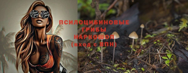 прущая мука Пионерский