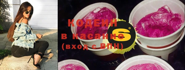 ГАЛЛЮЦИНОГЕННЫЕ ГРИБЫ Липки
