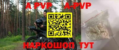 бошки Гусев