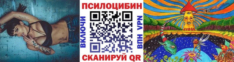 Псилоцибиновые грибы Cubensis  Переславль-Залесский 