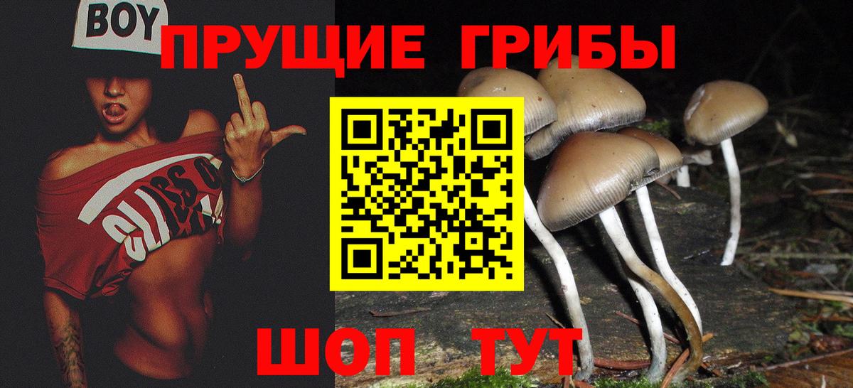 Галлюциногенные грибы MAGIC MUSHROOMS Переславль-Залесский