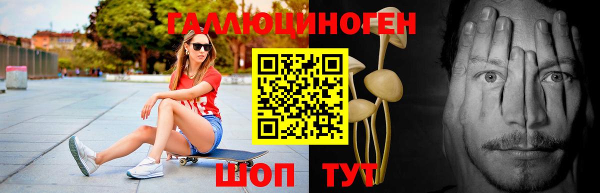 купить   Вход с VPN  Переславль-Залесский  Псилоцибиновые грибы мухоморы 